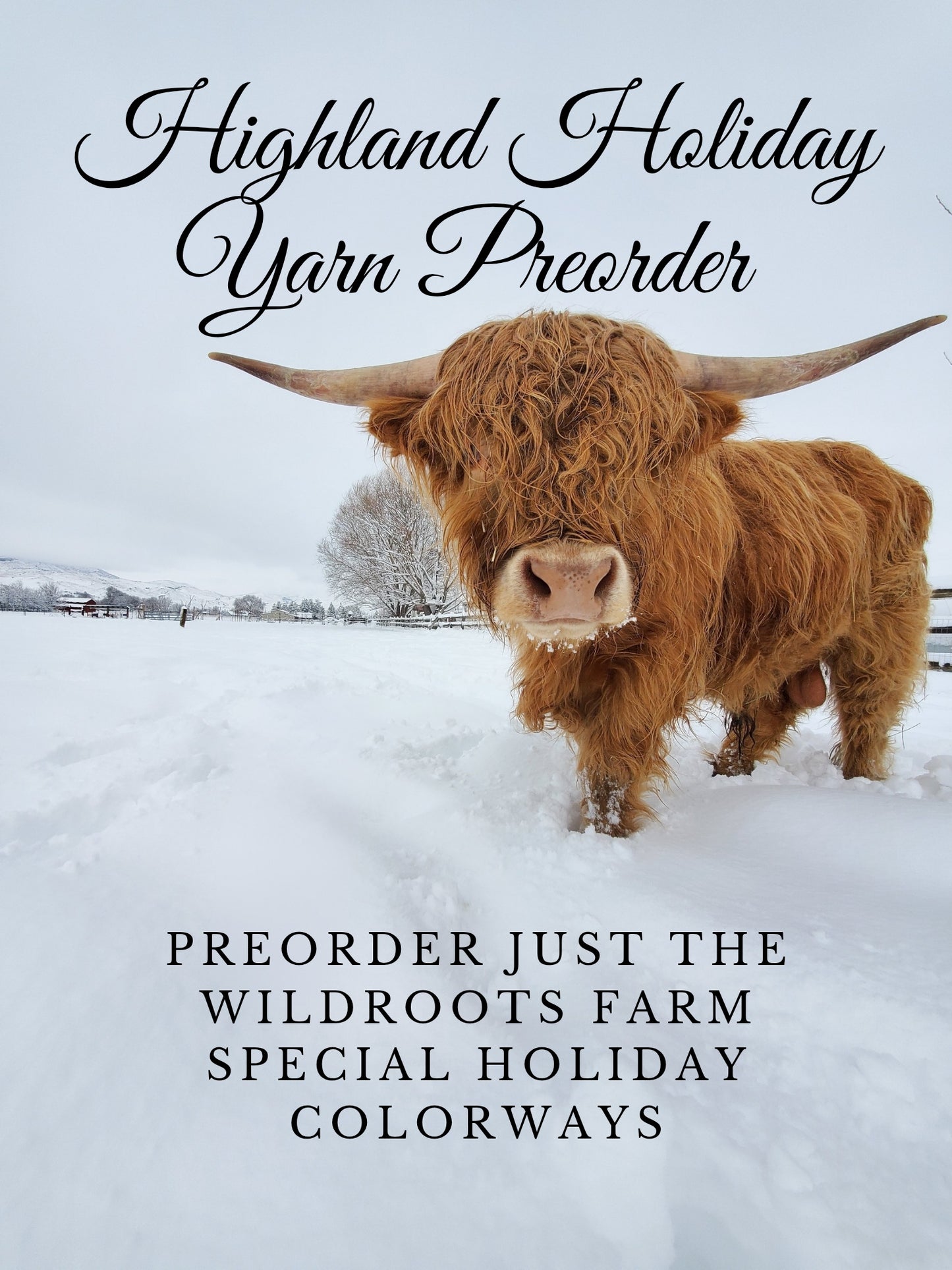 PREORDER JUST YARN Highland Holiday Box- ALL WEIGHTS